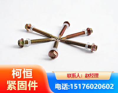 辽阳六角钻尾丝